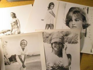 5 Aip Promo Photos Of Beach Movie Girl Patti Chandler Beach Blanket Bingo,  Etc