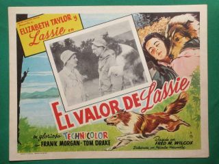 Courage Of Lassie Elizabeth Taylor Frank Morgan Art Mexican Lobby Card