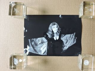 Ingrid Pitt Orig Busty Horror Portrait Photo 1971 The House That Dripped Blood