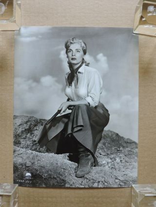 Lizabeth Scott With A Rifle Western Portrait Photo 1952 Red Mountain