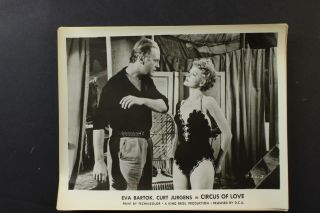 17 1954 Circus Of Love Movie Still Photos Curt Jurgens Eva Bartock