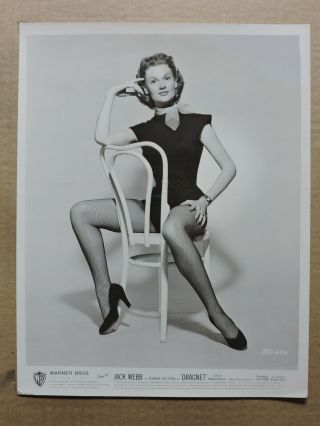 Ann Robinson In Fishnet Stockings Orig Leggy Pinup Portrait Photo 1951 Dragnet