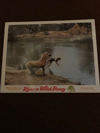Walt Disney 1975 Ride A Wild Pony 11x14 Lobby Cards Set Of 8 2