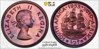 1953 South Africa 1/2 Penny Pcgs Pr65 Rb - Colorful Toning