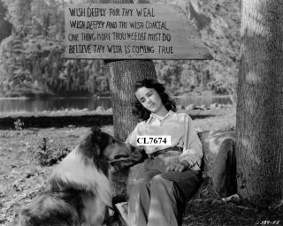 Elizabeth Taylor With Lassie In The Movie 