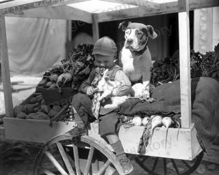 8x10 Print The Little Rascals Pete The Pup Wheezer Our Gang Turnip Truck Lrab
