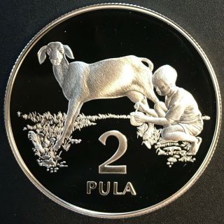 Botswana - Silver 2 Pula Coin - Ipelegeng - 1989 - Proof