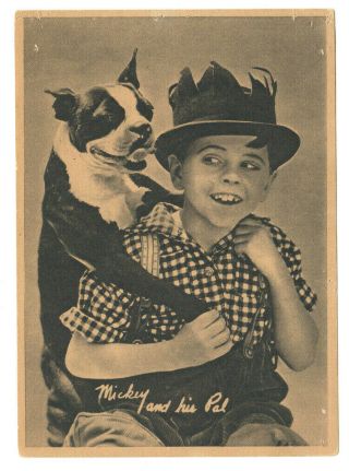 Mickey Rooney Mcguire - Vintage 1920s Silent Film Child Movie Star 5x7 Fan Photo