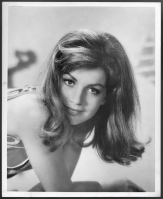 Catherine Spaak 1960s Promo Portrait Photo Hotel