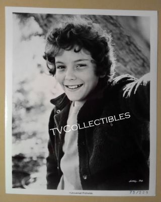 8x10 Press Photo The Boy Who Cried Werewolf 1973 Scott Sealey Horror Cs