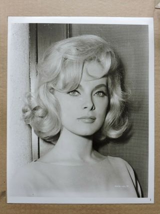 Virna Lisi Portrait Photo 1965 How To Murder Your Wife
