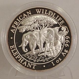 2013 1 Oz Silver Somalia Elephant Coin Lunar Year Of The Snake Privy Spot Toned