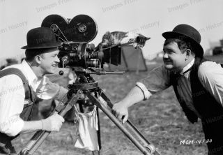 8x10 Print Laurel And Hardy Kitten Silent Short The Finishing Touch 1928 9718