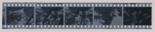 (strip Of 5) 1959 Photo Negatives Tab Hunter On The Movie Set