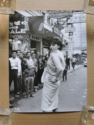 Rosanna Schiaffino In Hong Kong Candid Portrait Photo 1965 Red Dragon