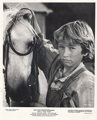 Robert Bettles 8x10 Promo Photo Ride A Wild Pony 1975