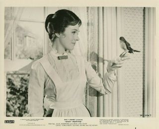 Julie Andrews & Bird Vintage 1964 Mary Poppins Walt Disney Photo