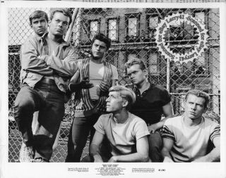Russ Tamblyn And The Jets Gang Still On West Side Story 1961 Vintage