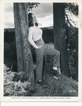 Susan Hayward Sweater Girl Vintage Universal Pictures Portrait Photo