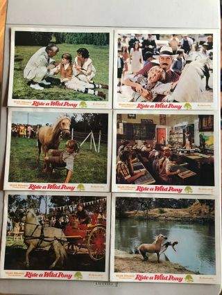 6 Lobby Cards 11x14: Ride A Wild Pony (1975) Michael Craig