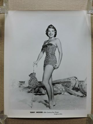 Terry Moore Leggy Barefoot Swimsuit Pinup Portrait Photo 1950 