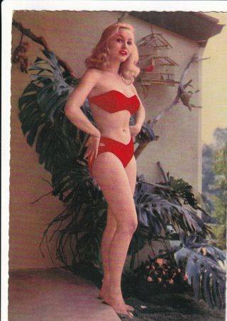 Julie Newmar - Hollywood Movie Star/actress Pin - Up/cheesecake 1950s Postcard