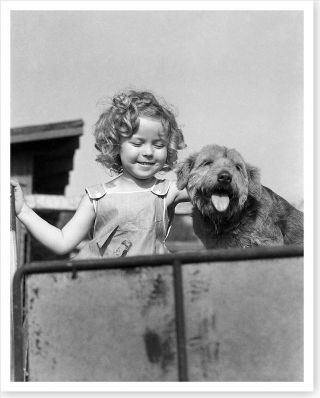 Movie Star Actress Shirley Temple With Dog Celebrity Silver Halide Photo