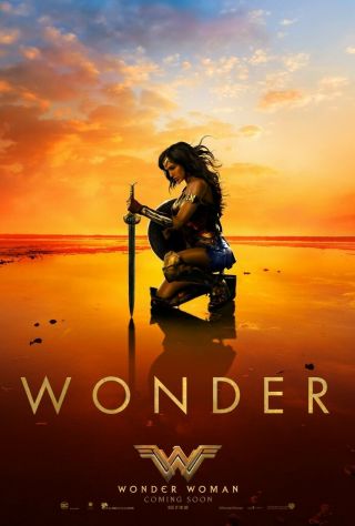 Wonder Woman - Beach Style - Movie Theater Poster 27x40 Ds