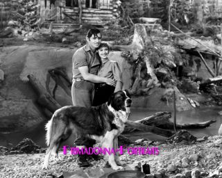 Loretta Young & Clark Gable 8x10 Lab Photo 1935 " Call Of The Wild " Movie Still