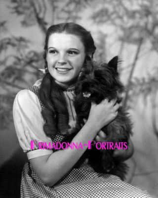Judy Garland & Terry The Dog 8x10 Lab Photo 1939 " Wizard Of Oz " Dorothy & Toto