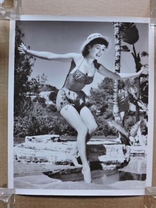 Debbie Reynolds Dips Her Toe Leggy Swimsuit Pinup Portrait Photo 1950 