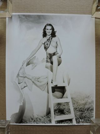 Susan Shaw Easter Themed Leggy Pinup Portrait Photo 1940 
