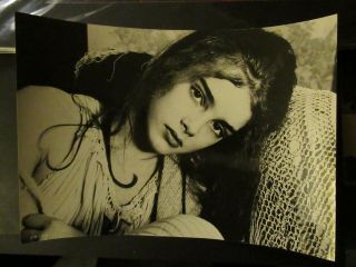Sweet 8 X 10 Studio Still Of Very Young Brooke Shields - Pretty Baby
