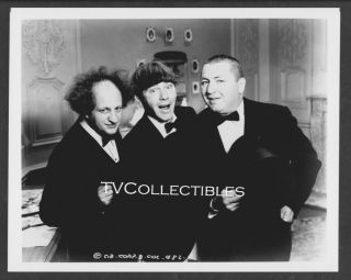 8x10 Photo The Three Stooges Moe & Curly Howard Larry Fine Bow Tie Suits