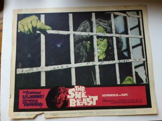 Vintage Lobby Card Horror 11x14 U.  S.  Movie The She Beast