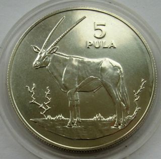 Botswana 5 Pula 1978 Gemsbok Conservation Silver Coin Unc