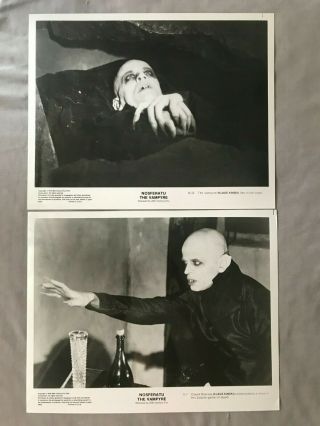 Nosferatu Film Movie 4 Photographs 1922 & 1979 Max Schreck Klaus Kinski Vampyre