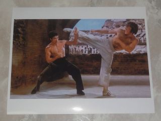 Rare Bruce Lee Way Of The Dragon 8 X 10 " Color Photo Chuck Norris Colosseum 李小龍