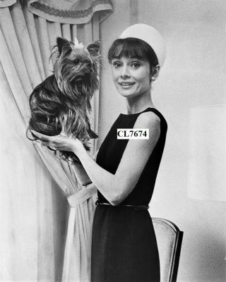 Audrey Hepburn With Her Yorkshire Terrier 