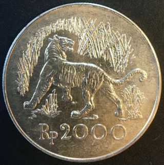 Indonesia - Silver 2000 Rupiah Coin - Javan Tiger - 1974 - Unc -.  500