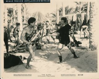 Steve Reeves In The Slave 1963 Mgm 8 X 10 Sword & Sandals Film Still Vv