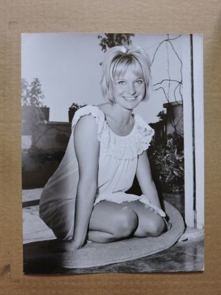 Ingrid Schoeller Kneeling In Lingerie Pinup Portrait Photo By Michalke 1960 