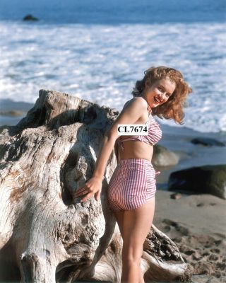 Marilyn Monroe In A Bathing Suit Poses For A Portrait On The Beach Photo