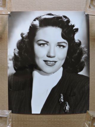 Dorothy Malone Glamour Portrait Photo By Bert Six 1940 