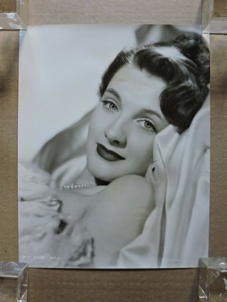 Barbara Murray Orig Glamour Portrait Photo By Wilfred Newton 1949 Boys In Brown