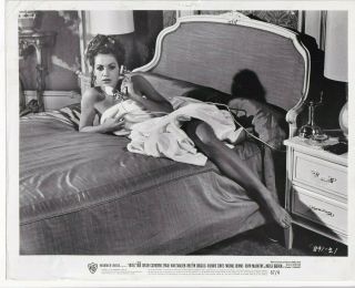 Catherine Spaak In Hotel 1967 Portrait Alluring Pose Sexy Legs Orig Photo 38