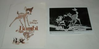 Walt Disney Bambi Promo Movie Press Kit 6 Photos Animated Classic Thumper Flower