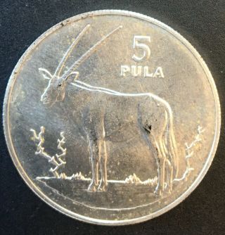 Botswana - Silver 5 Pula Coin - Ipelegeng - 1978 - Unc