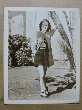 Jane Powell Leggy Fashion Portrait Photo 1946 Mgm