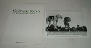 Disney Homeward Bound The Incredible Journey Movie Promo Press Kit 4 Photos